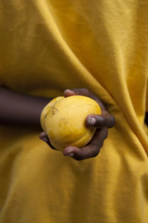 Fruit.jpg