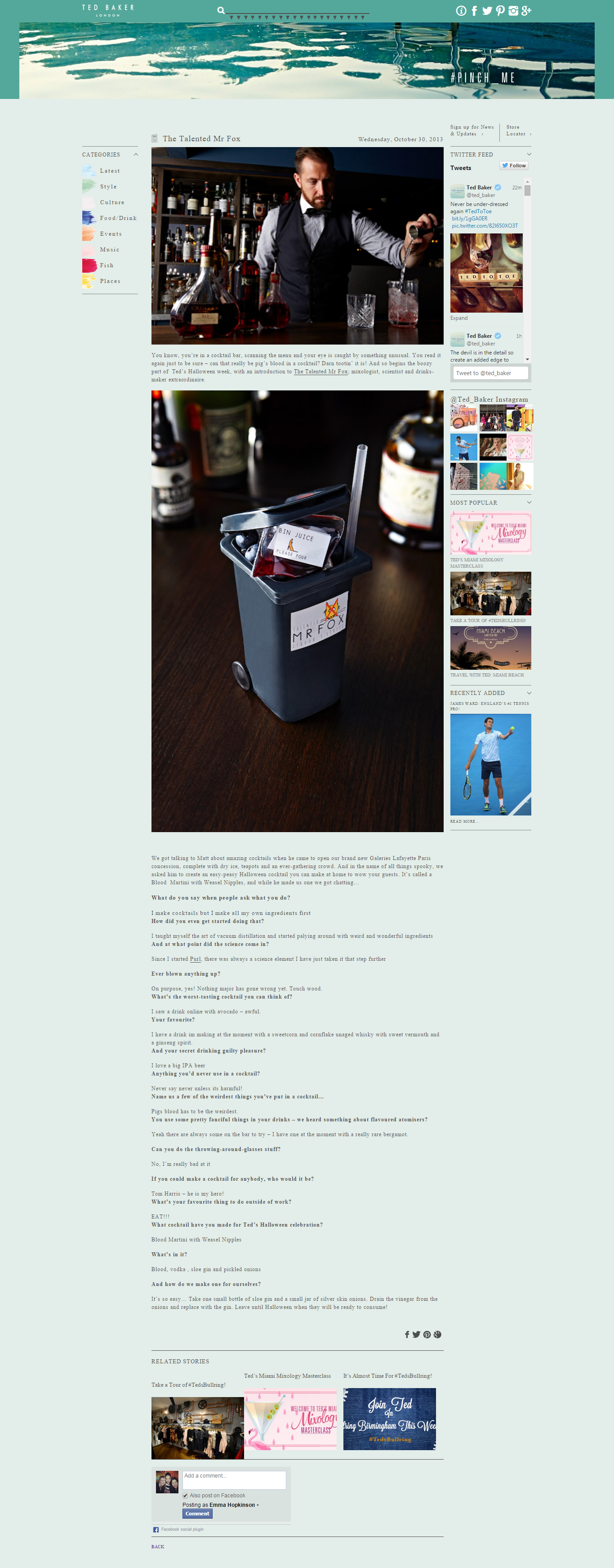 screencapture-tedbakerblog-com-2013-10-the-talented-mr-fox.png