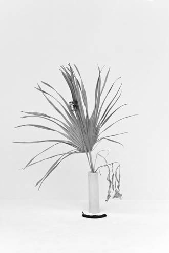 Fig. 16: Ist das die Definition von lyrisch: nicht reproduzierbar? Wir müssten Ikebana ausgeben.