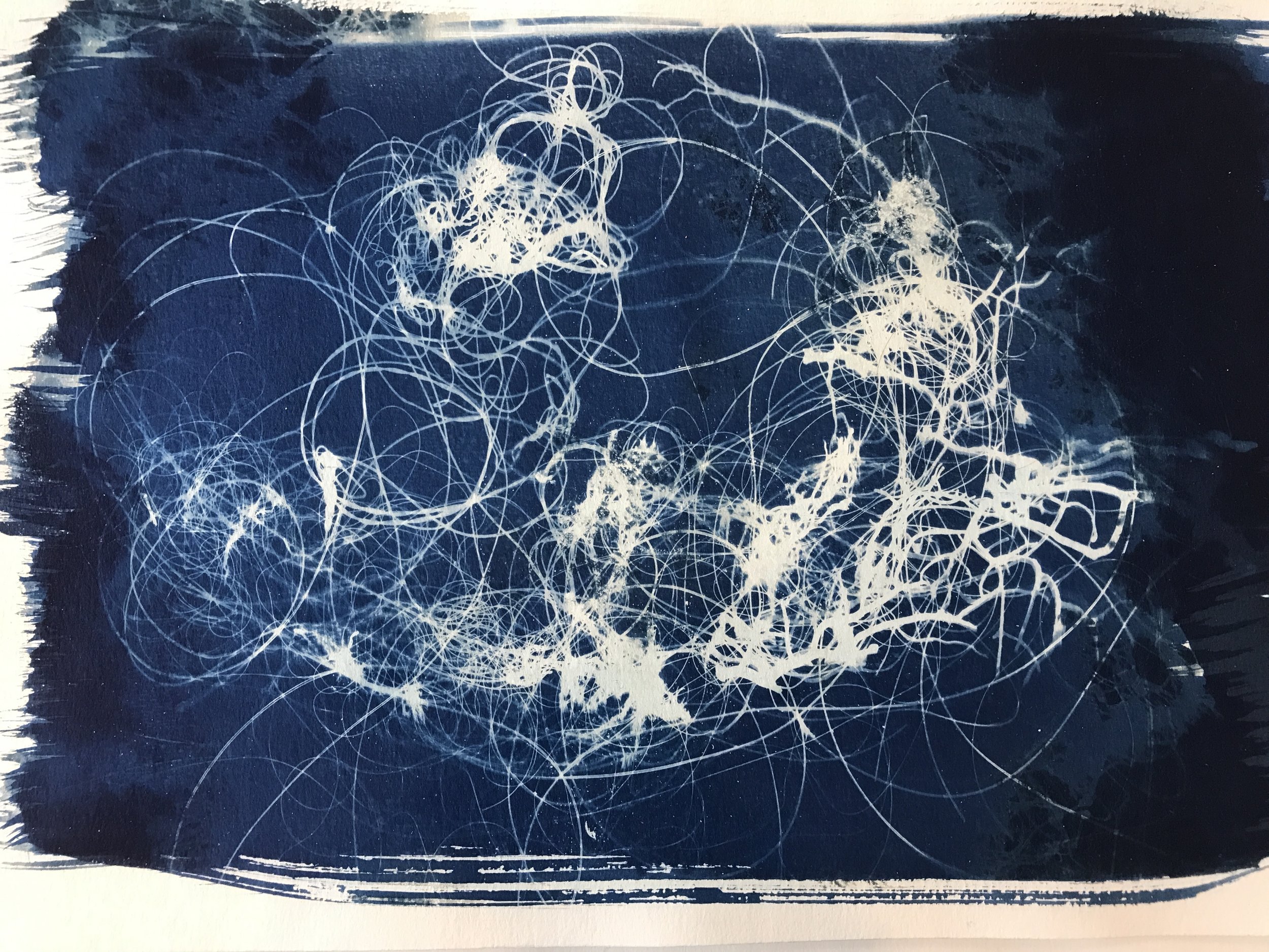 Discarded fishing line found on beach walks