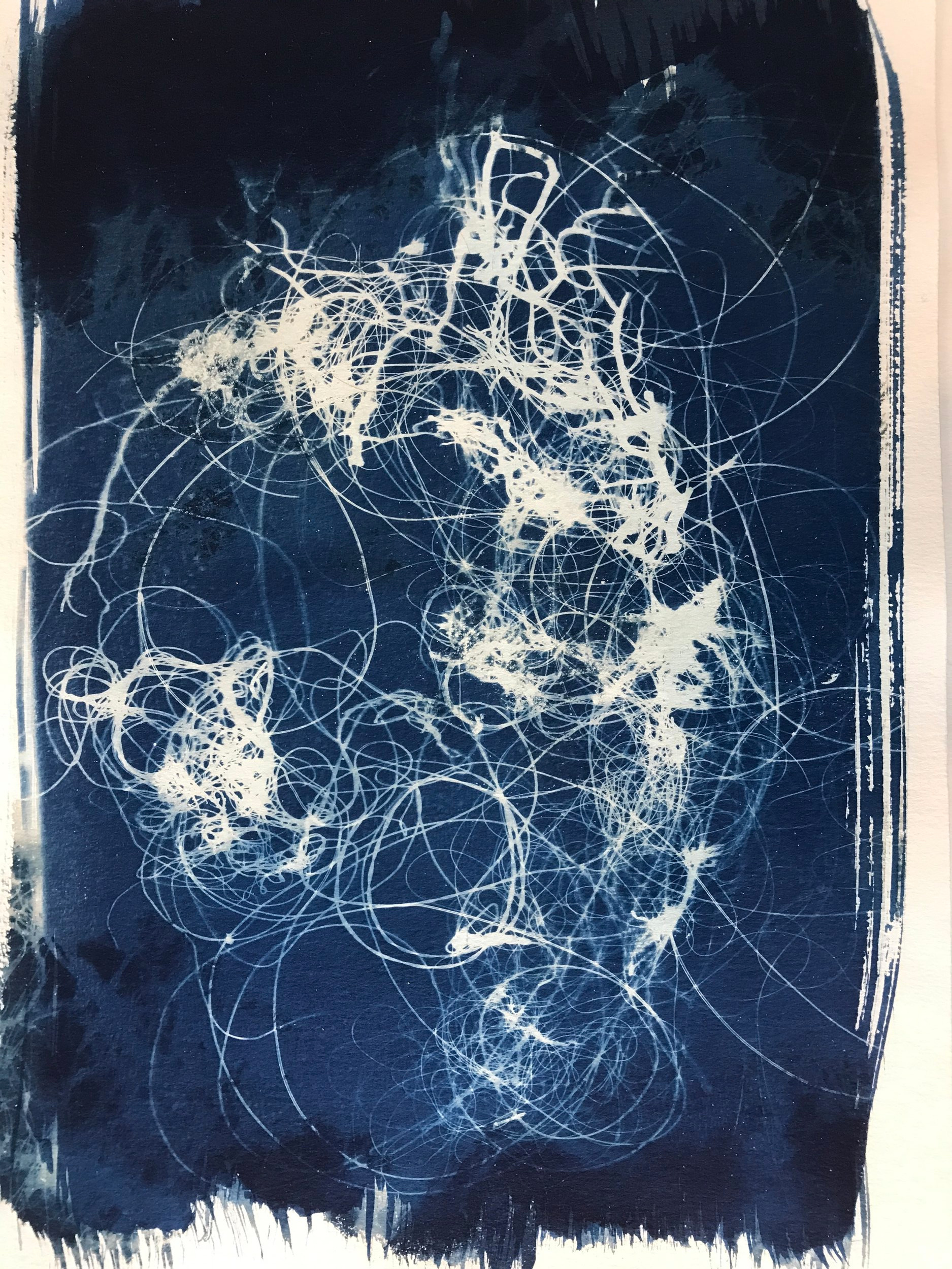tangledcyanotype.jpg