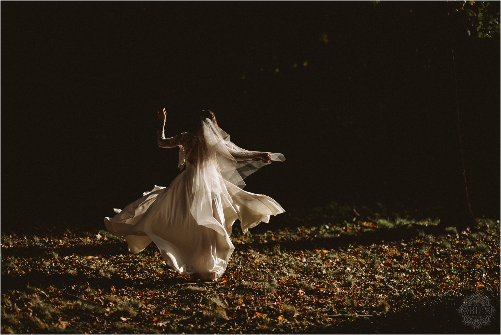 NY Wedding Photographer