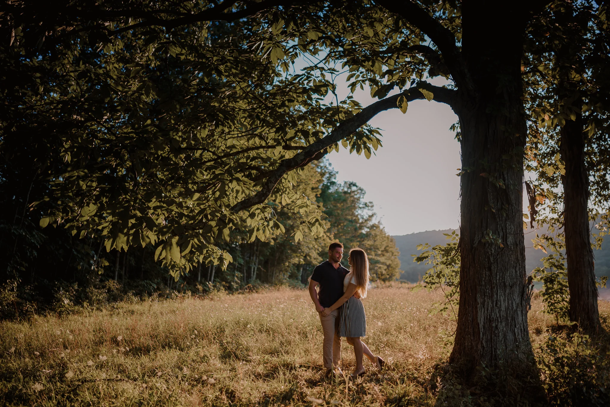We started our this part of journey at the base of the Gunks and paused beneath this old Oak tree.