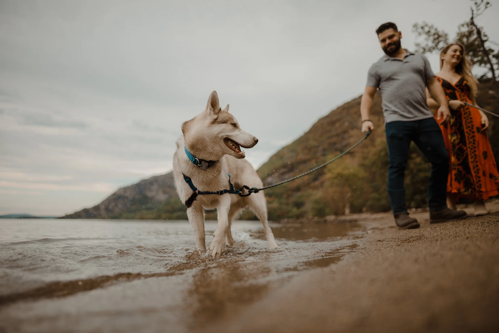 This is the exact moment when their dogs decided I was totally cool.