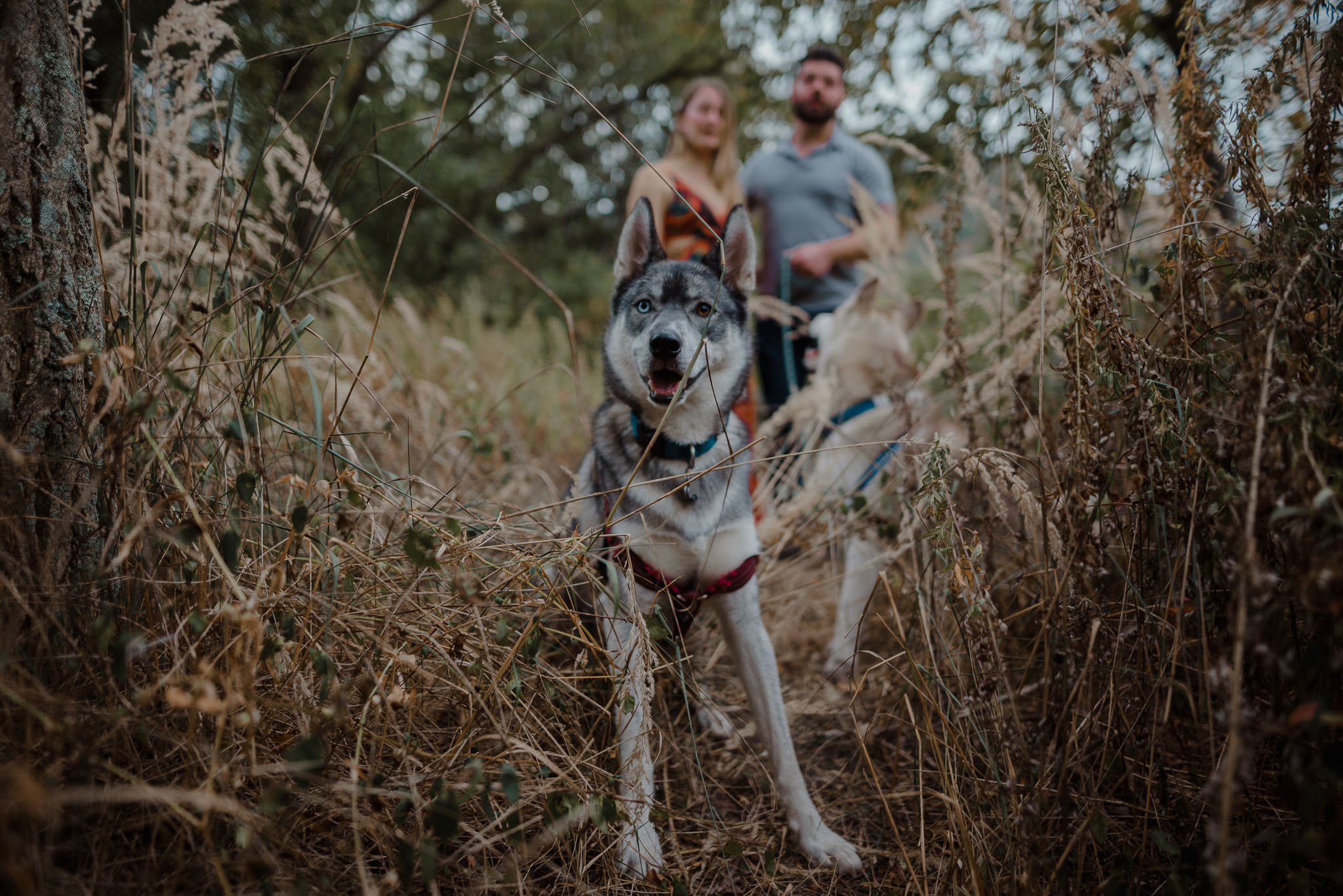 I mean, come on with those Husky eyes!