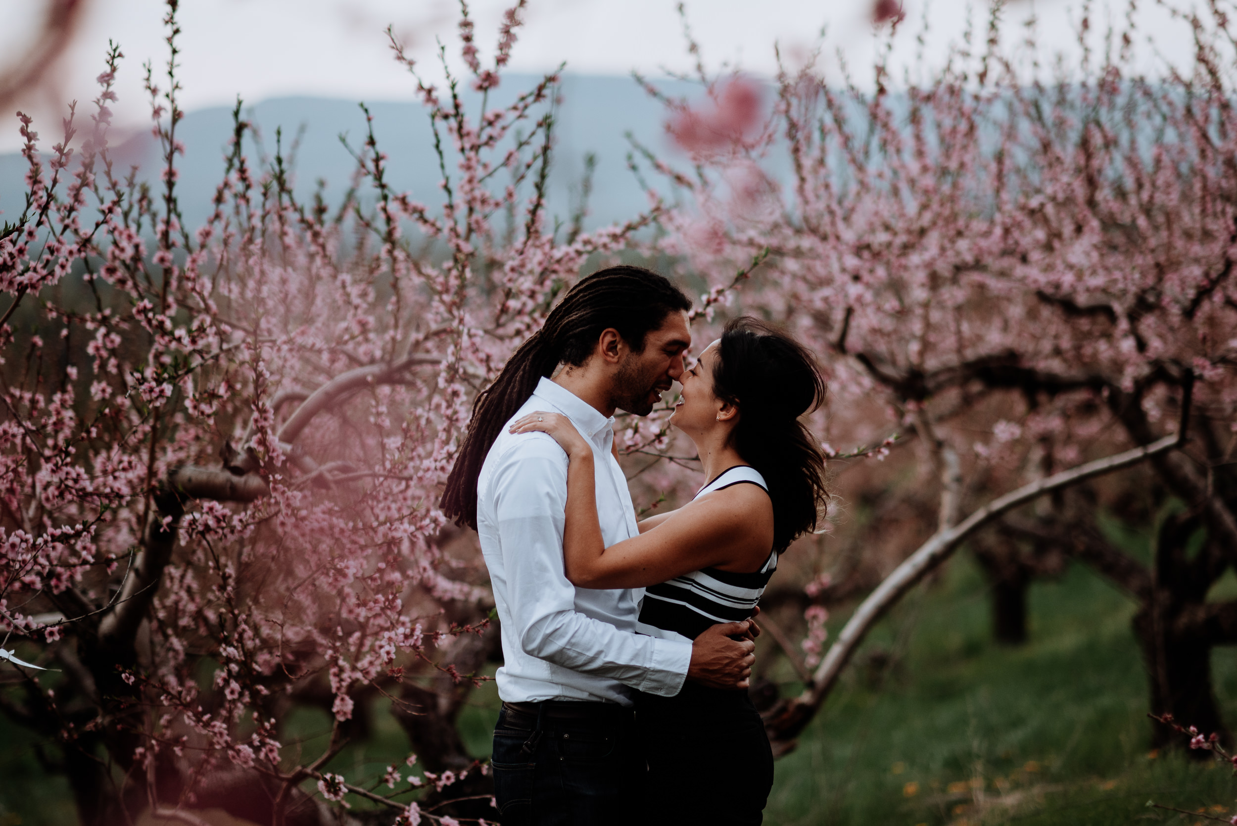Hudson Valley Engagement session with apple blossoms, mountain v