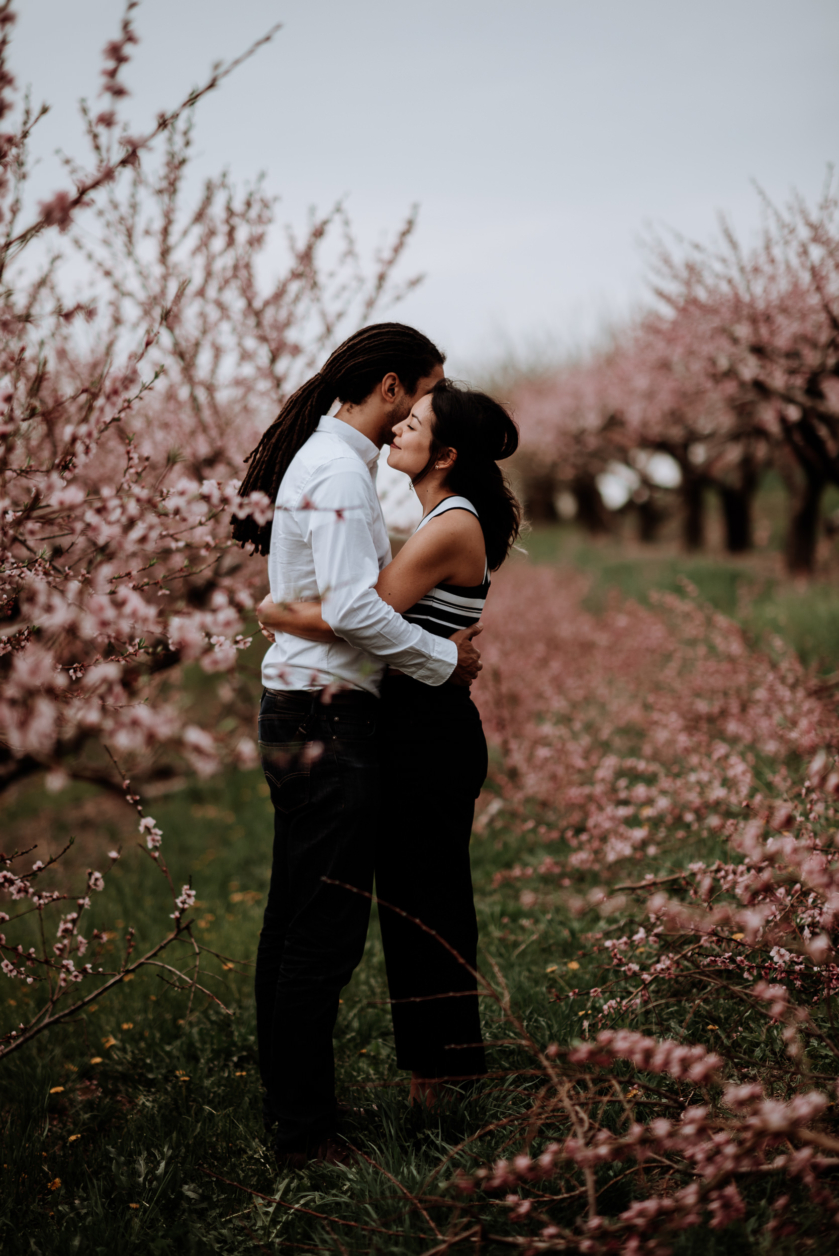Hudson Valley Engagement session with apple blossoms, mountain v