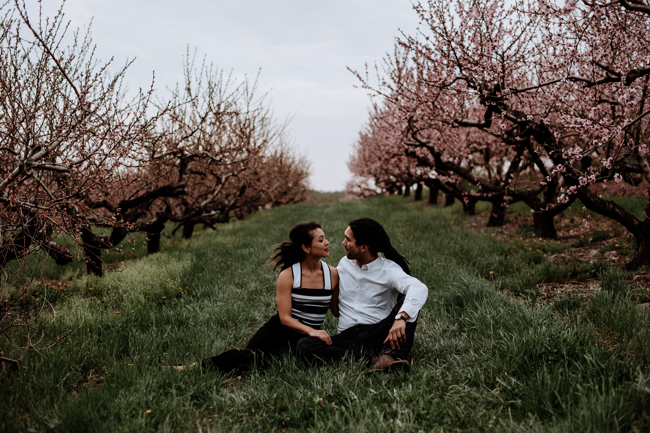 Hudson Valley Engagement session with apple blossoms, mountain v