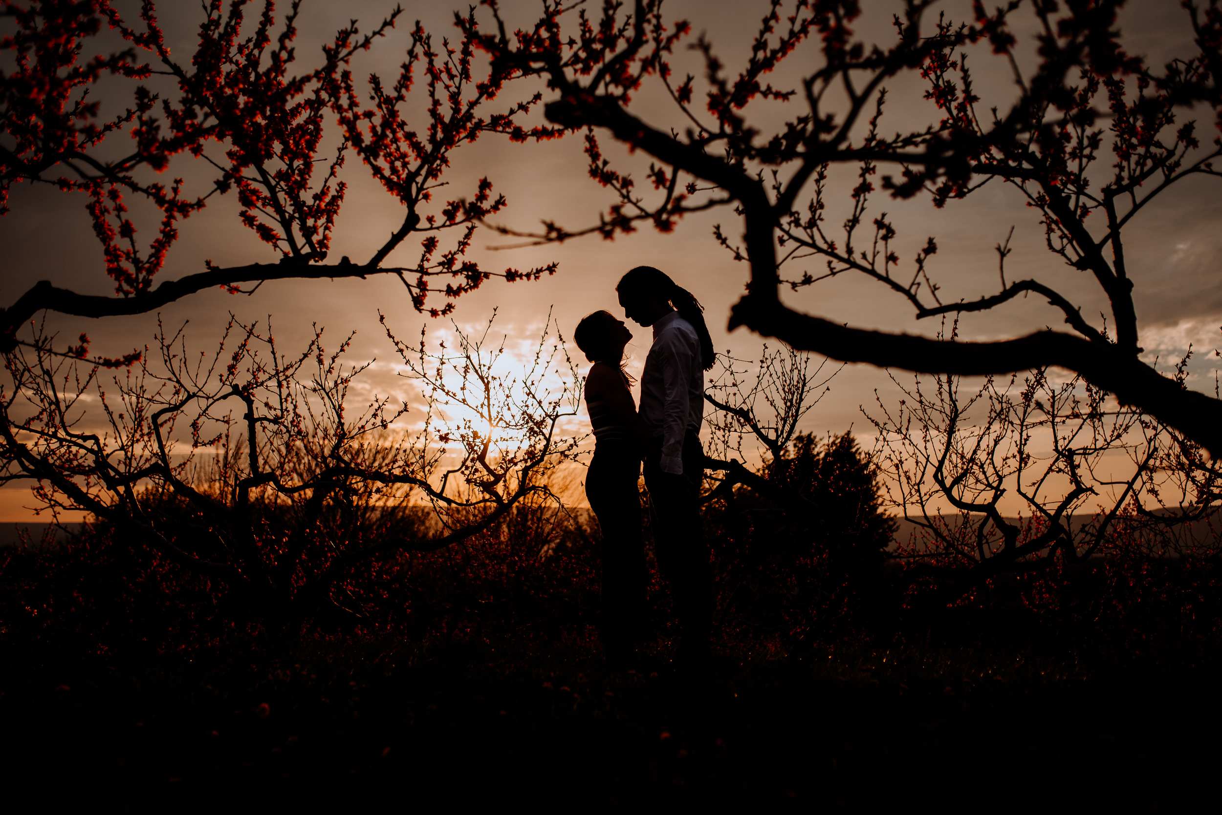 Hudson Valley Engagement session with apple blossoms, mountain v