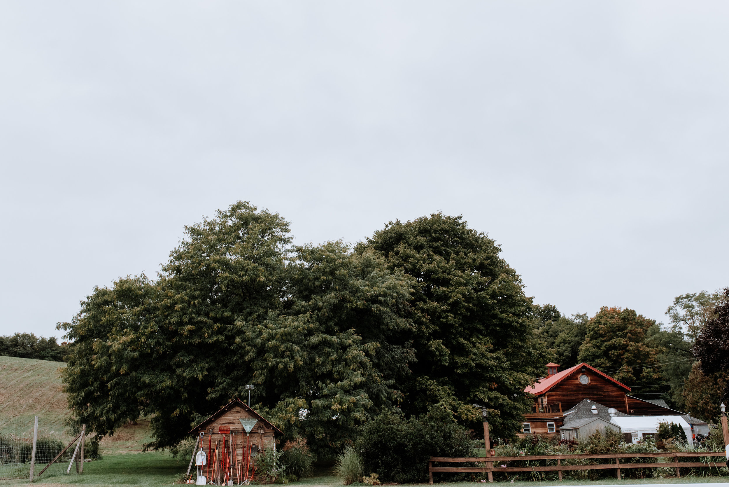 Red Maple Vineyard Wedding - Hudson Valley