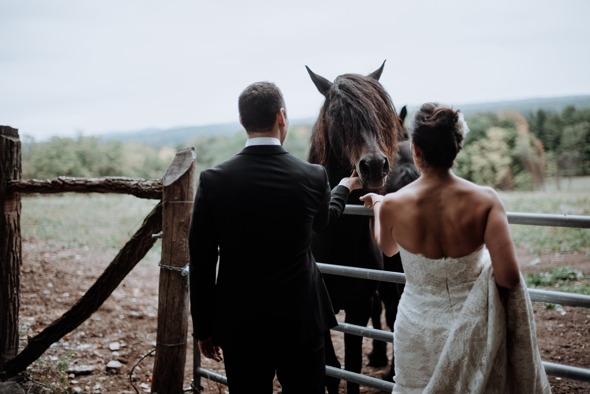 Red Maple Vineyard Wedding - Hudson Valley
