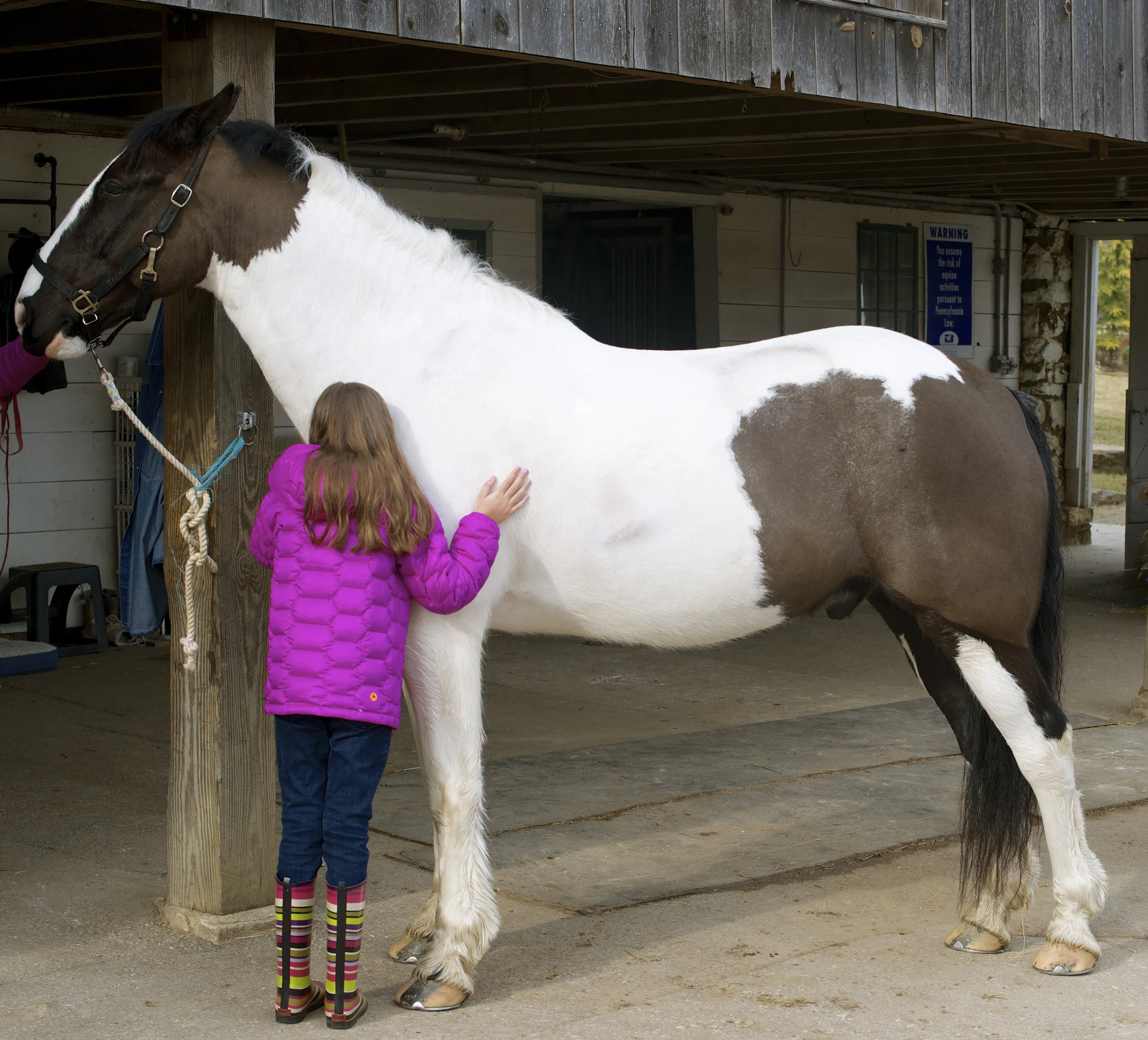Naya with her horse, Jack, weeks after her diagnosis and first brain surgery.
