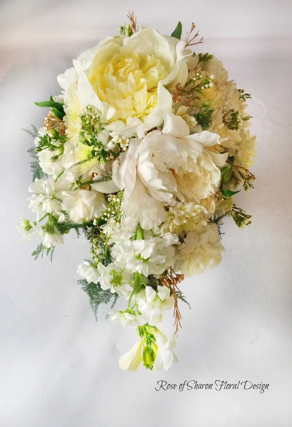 Teardrop Bouquet. White Peonies, Freesia, Wax Flower & Stock. Rose of Sharon Floral Designs