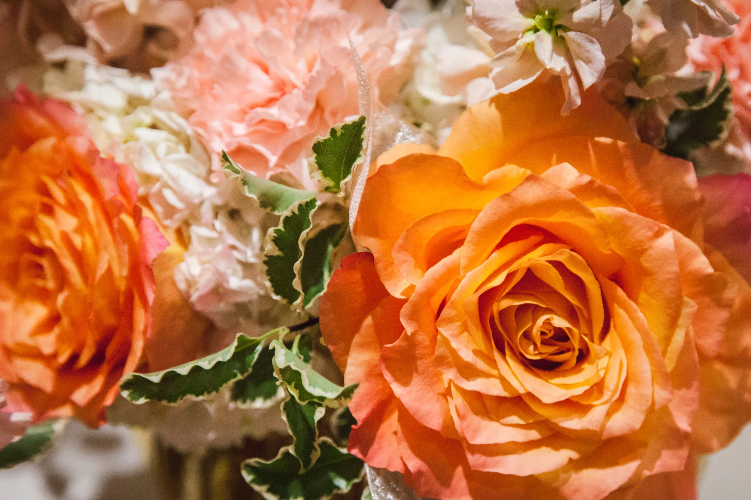 Leah Marie Landers Photography