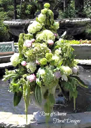 Urn-Hydrangeas and Amaranthus_2441566356_m.jpg