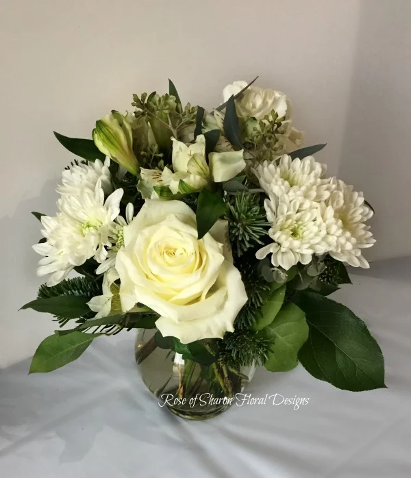 2016-12-22 13.31.11 b.jpg