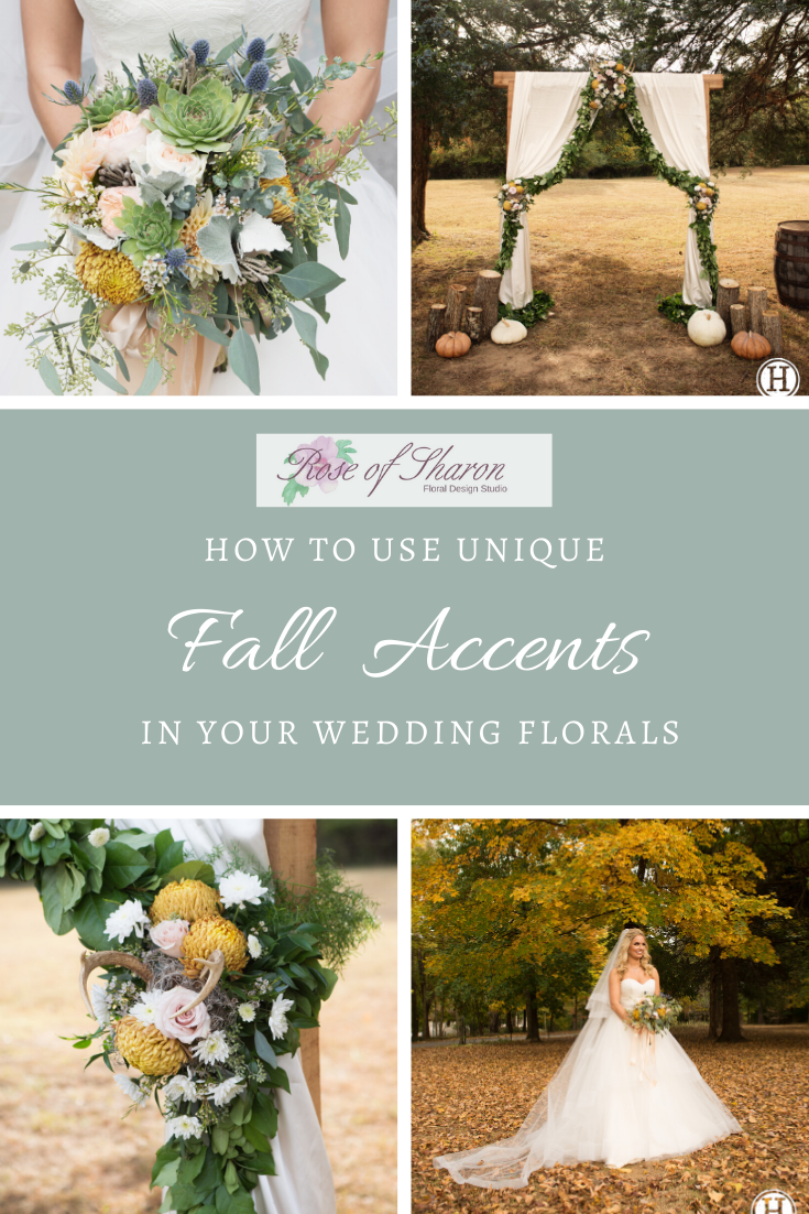 Fall Accents final.png