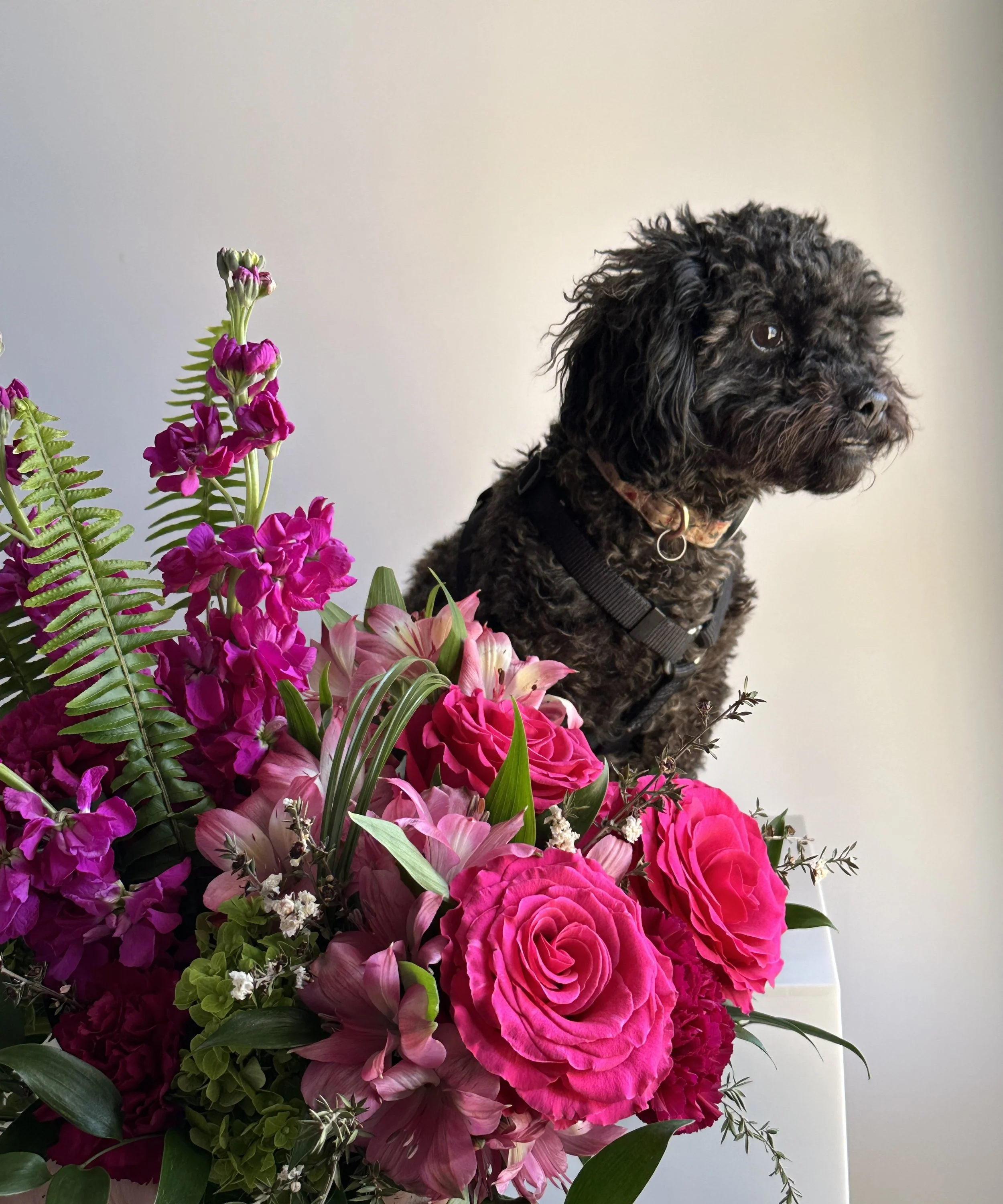 pink arrangement with Katie - Rose of Sharon.jpg