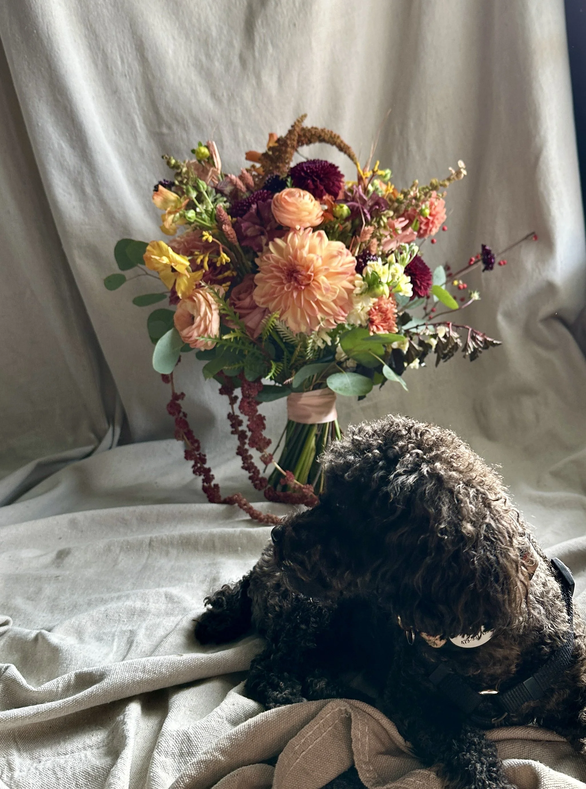 fall dahlias with katie - Rose of Sharon.jpg