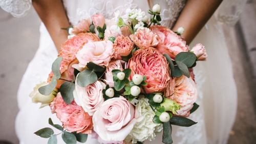 rose of sharon pink+garden+rose+bouquet.webp