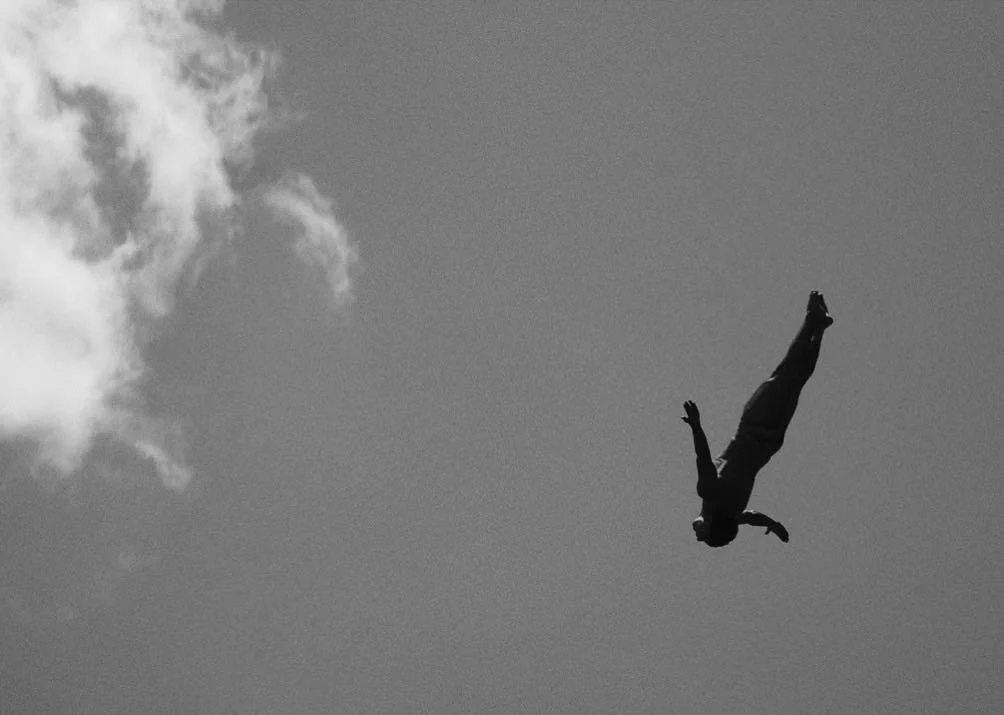 Drink Coffee. Stay Wild.