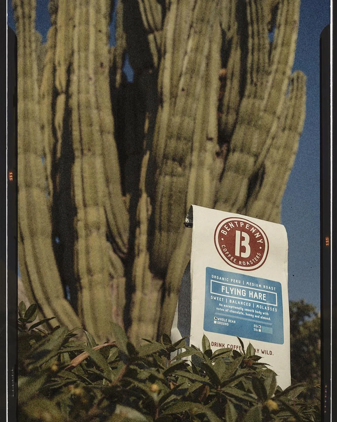 Our beans love to travel... ☕️🌵
Last week they flew down South of the Border✈️🇲🇽
#drinkcoffeestaywild