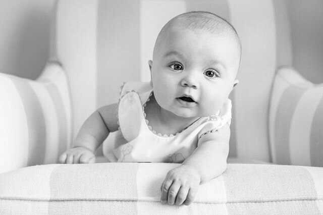 Since we haven&rsquo;t been able to shoot many portrait sessions in awhile I&rsquo;ve been diving into the archives for a few to post. This little guy was a treat to photograph!!