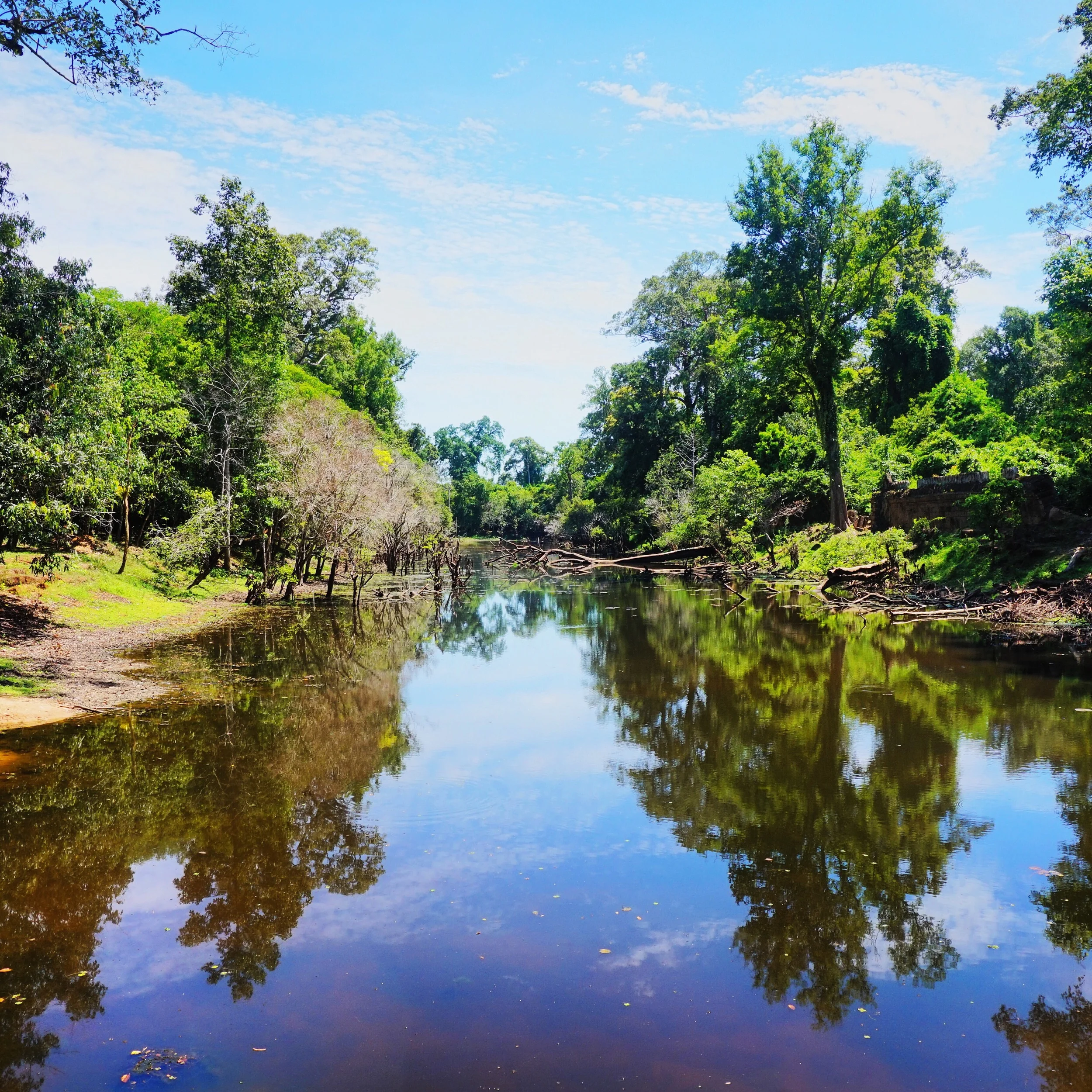 Cambodia is absolutely beautiful.