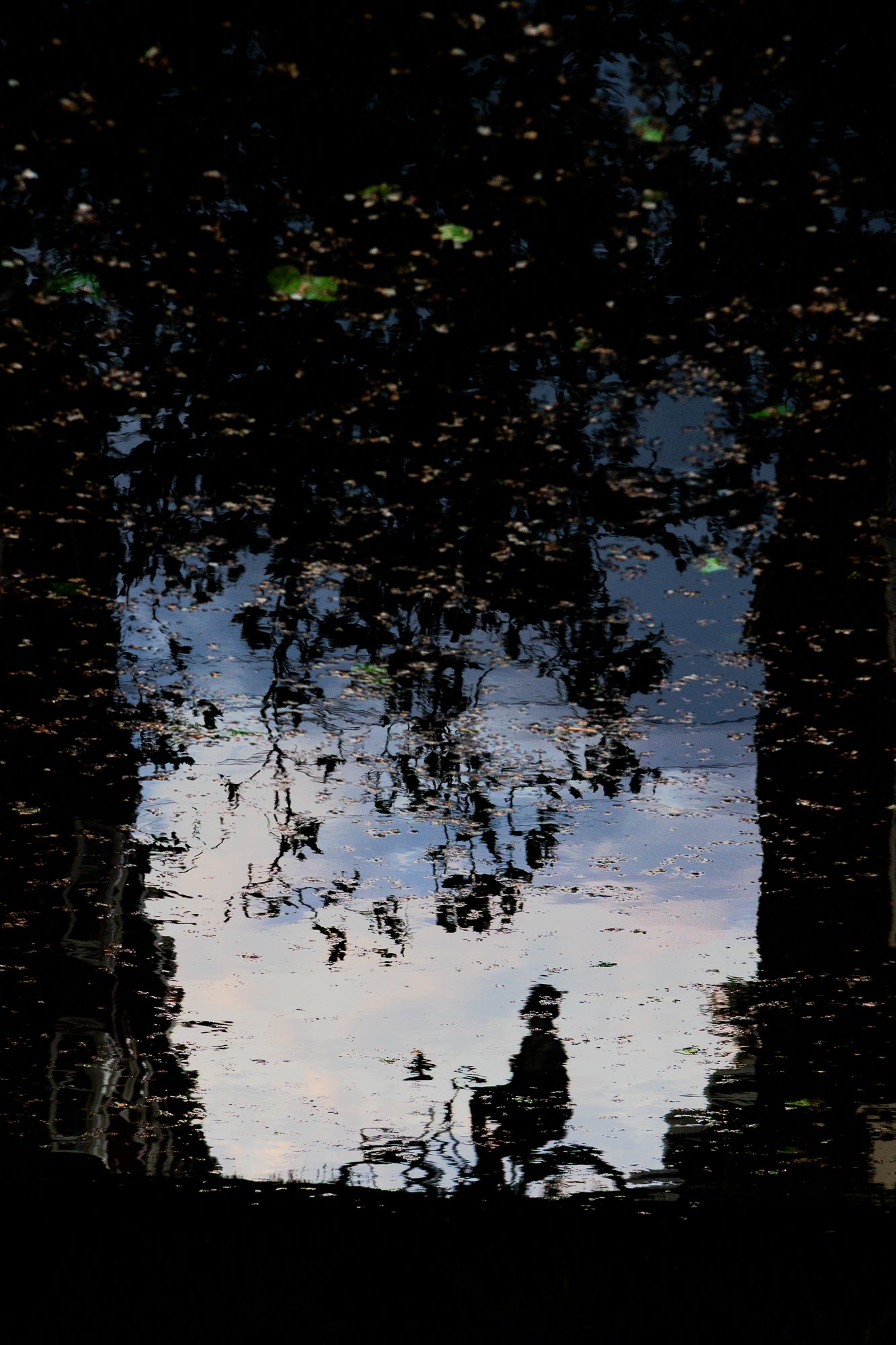 R-24-01-0E8A4183-bewerkt 2-print-web.jpg