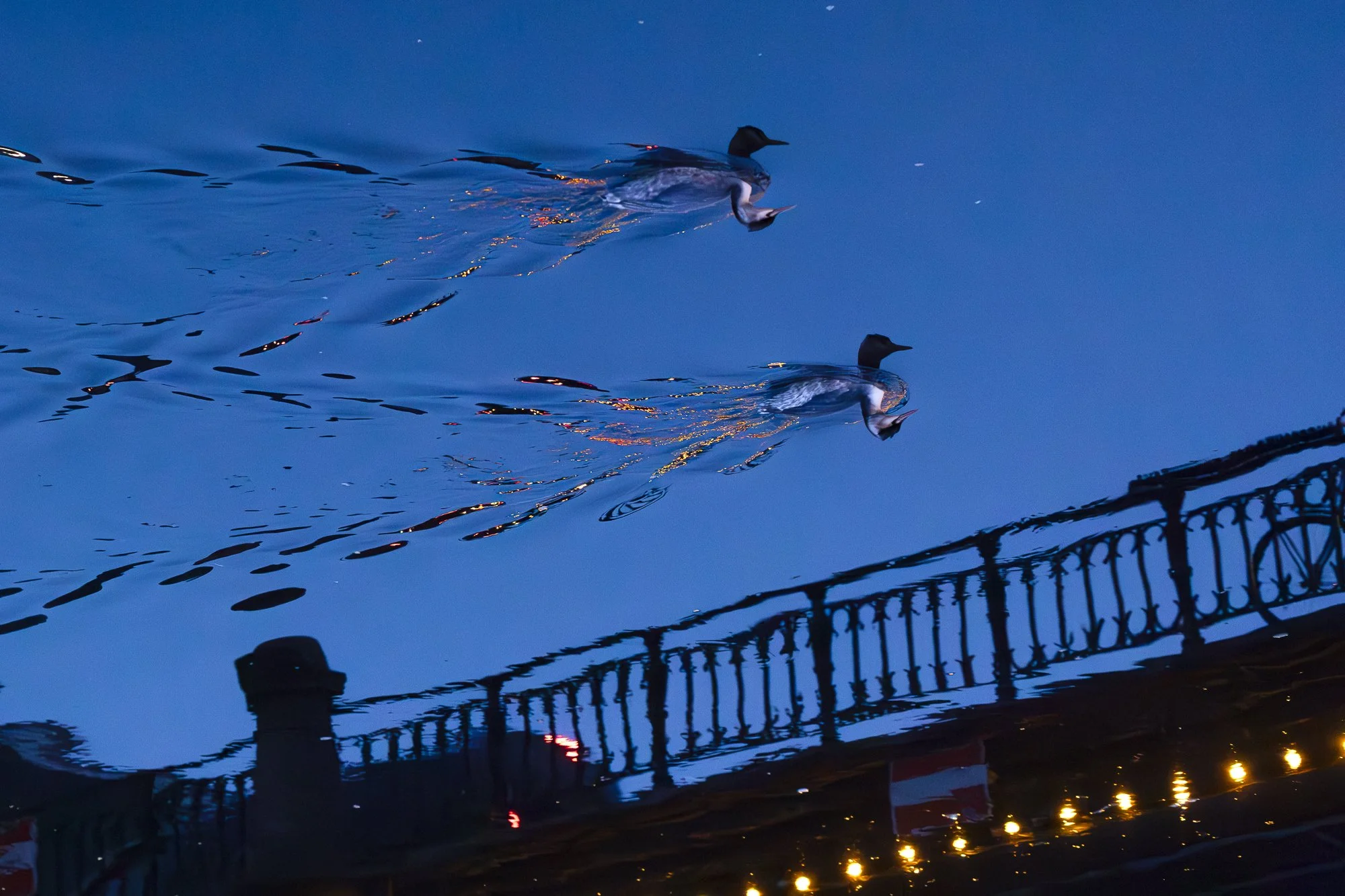 R-24-02-_E8A9458-Suzan Baars- bestelling MASA-web.jpg