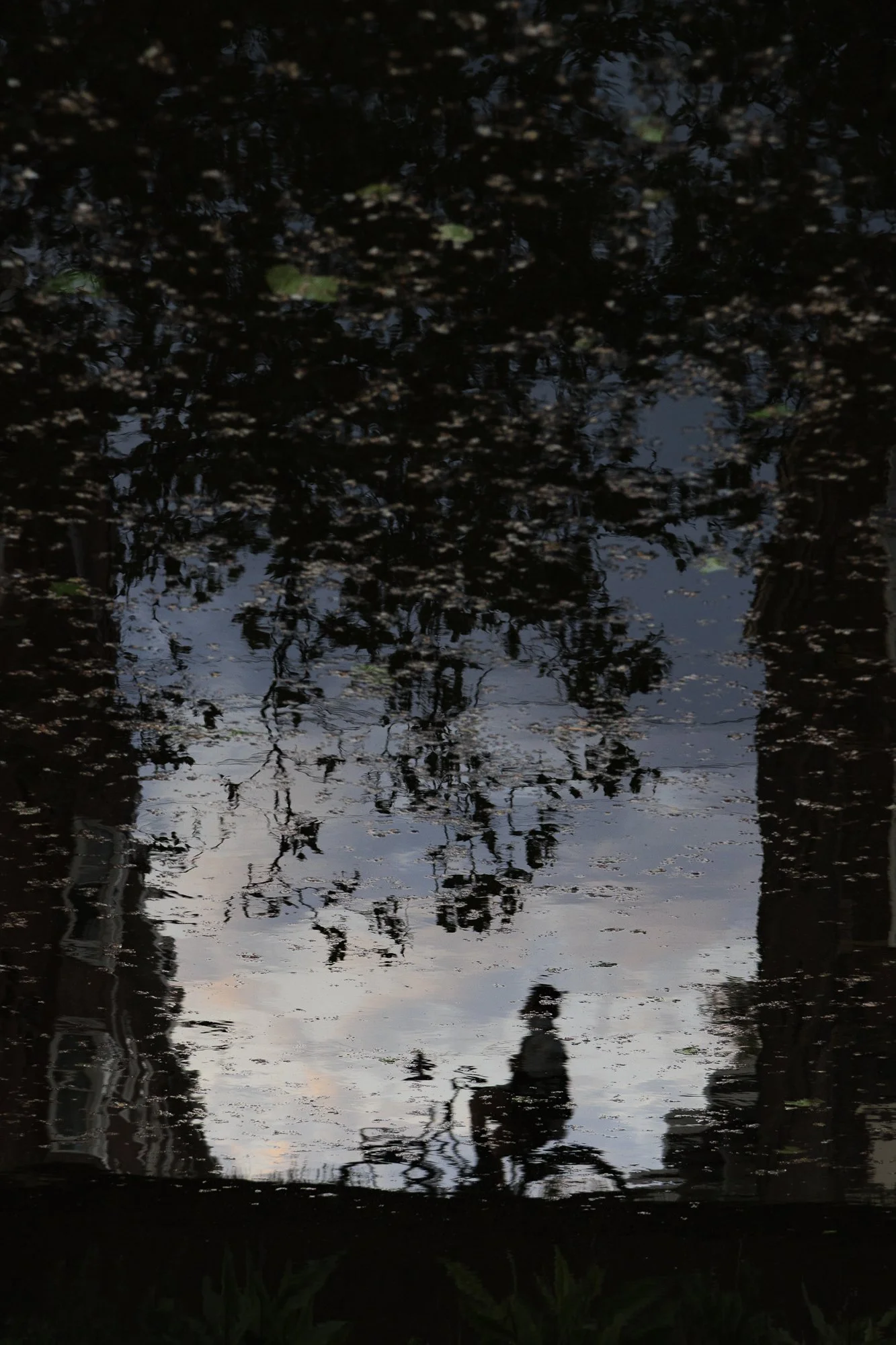 tegenover trap-web-3.jpg