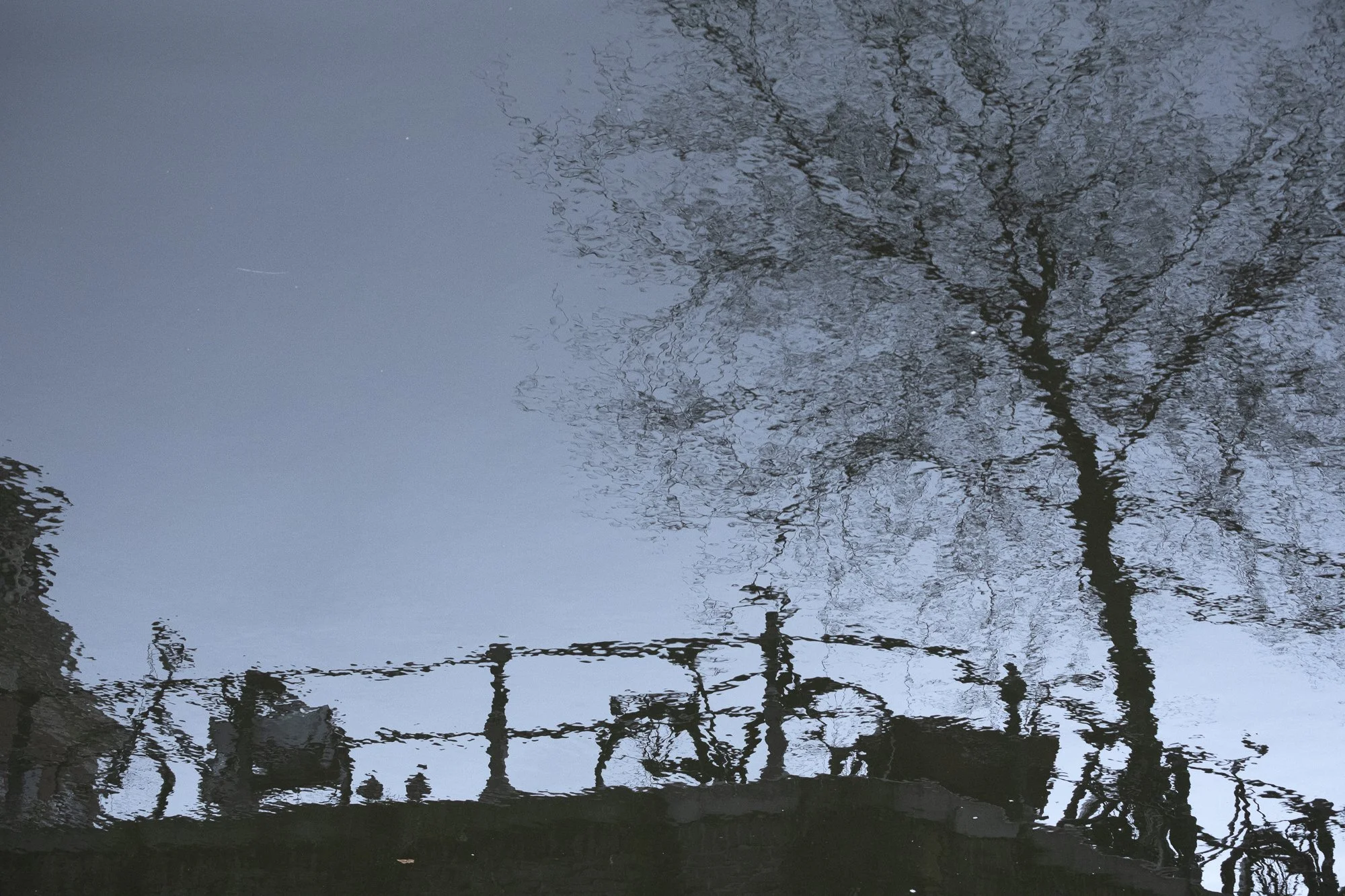 tegenover trap-web-4.jpg