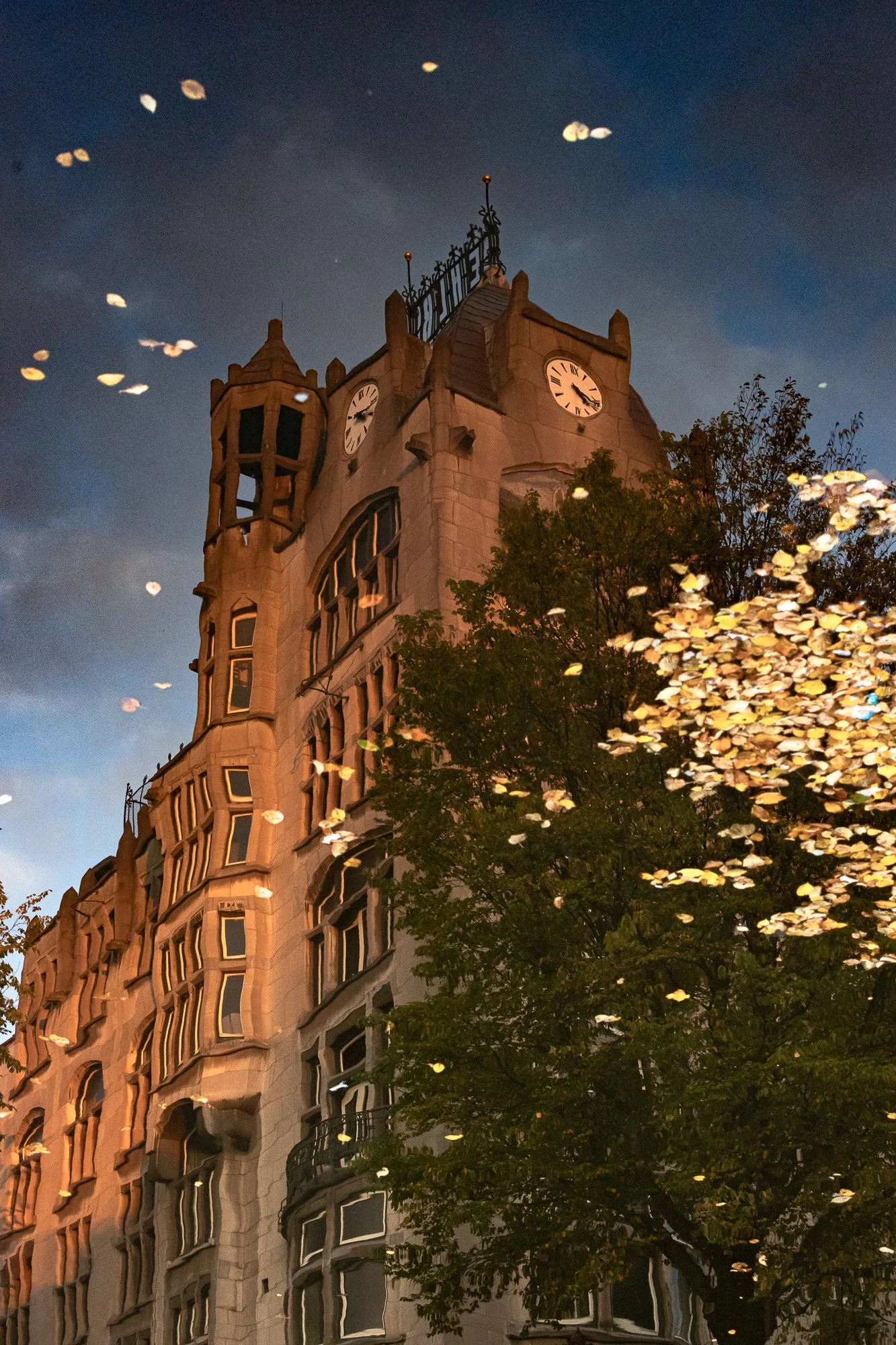 R-25-06-_E8A5468-bewerkt-8 feb def-web.jpg