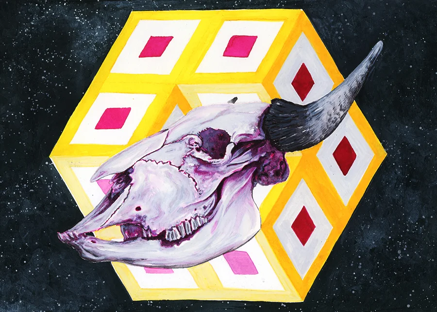 Bison Skull & Space Cube