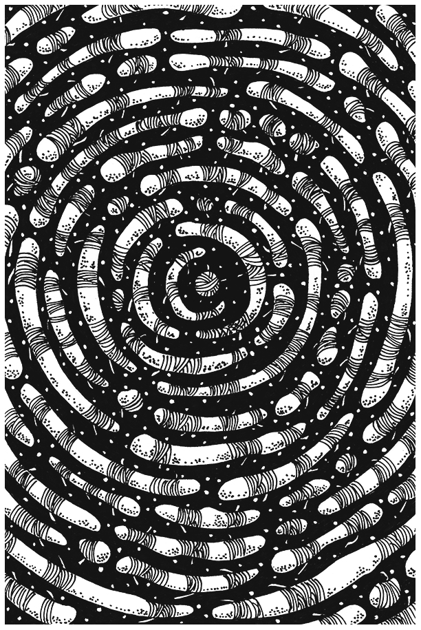 Bone Spiral