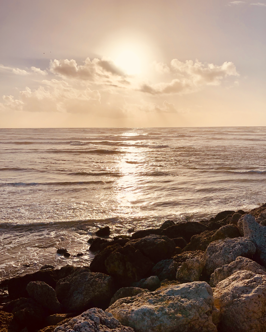 Seashore (Cabedelo, Figueira da Foz)