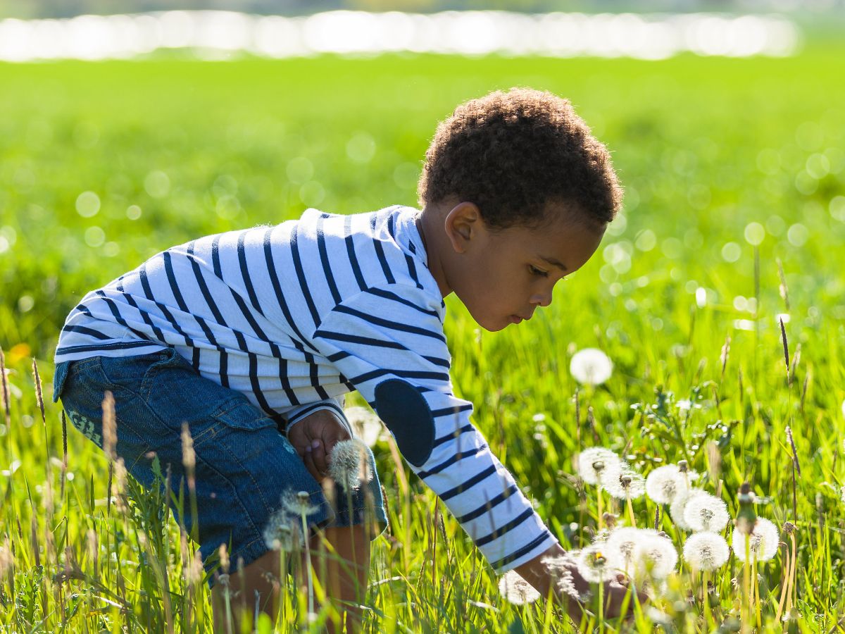 Meaning of Play  Play is universal in nature. All the children