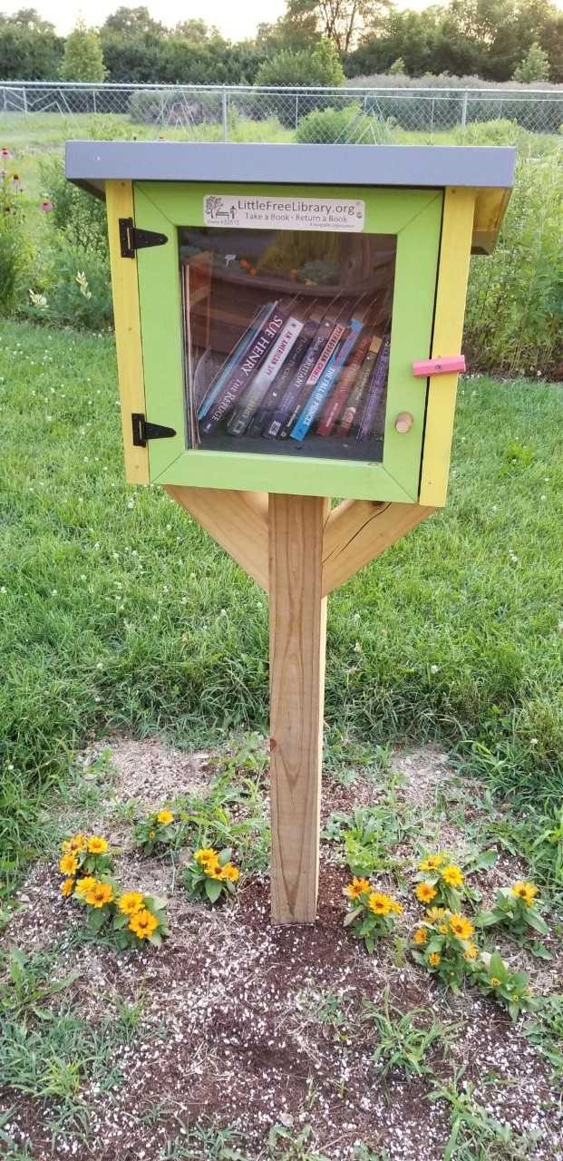 Little Free Libraries — BY5 - Early Childhood Development