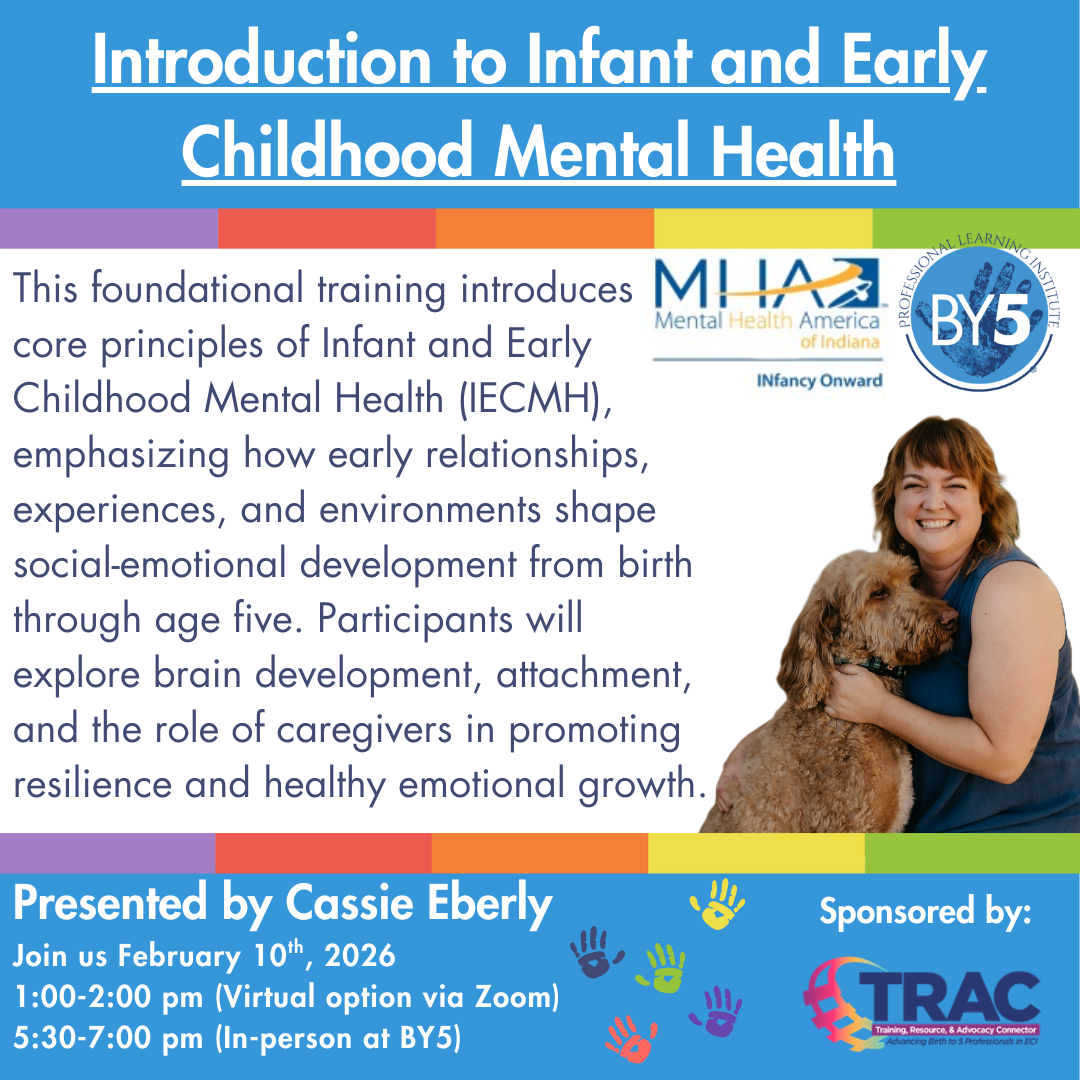 Introduction to Infant and Early Childhood Mental Health (Virtual Session)