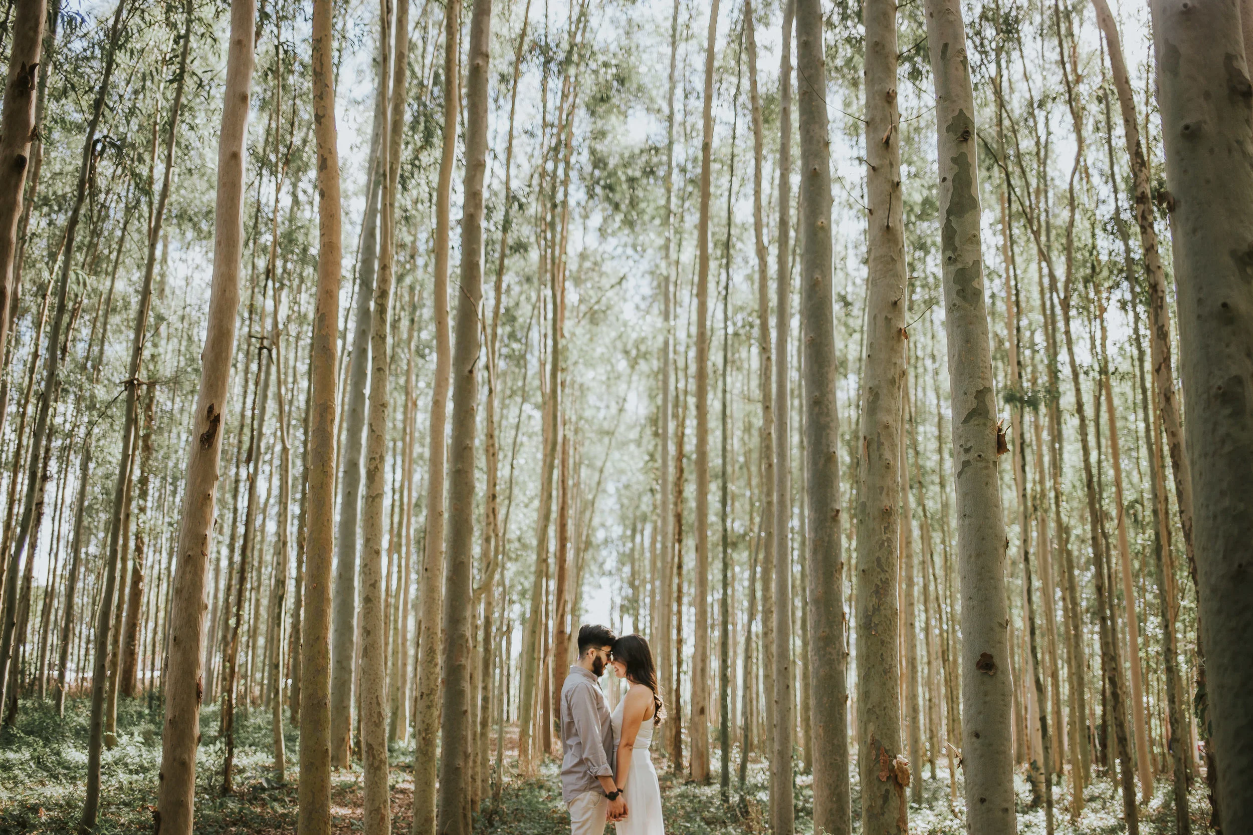 Aline&Guilherme-MARCELINOS-15.jpg