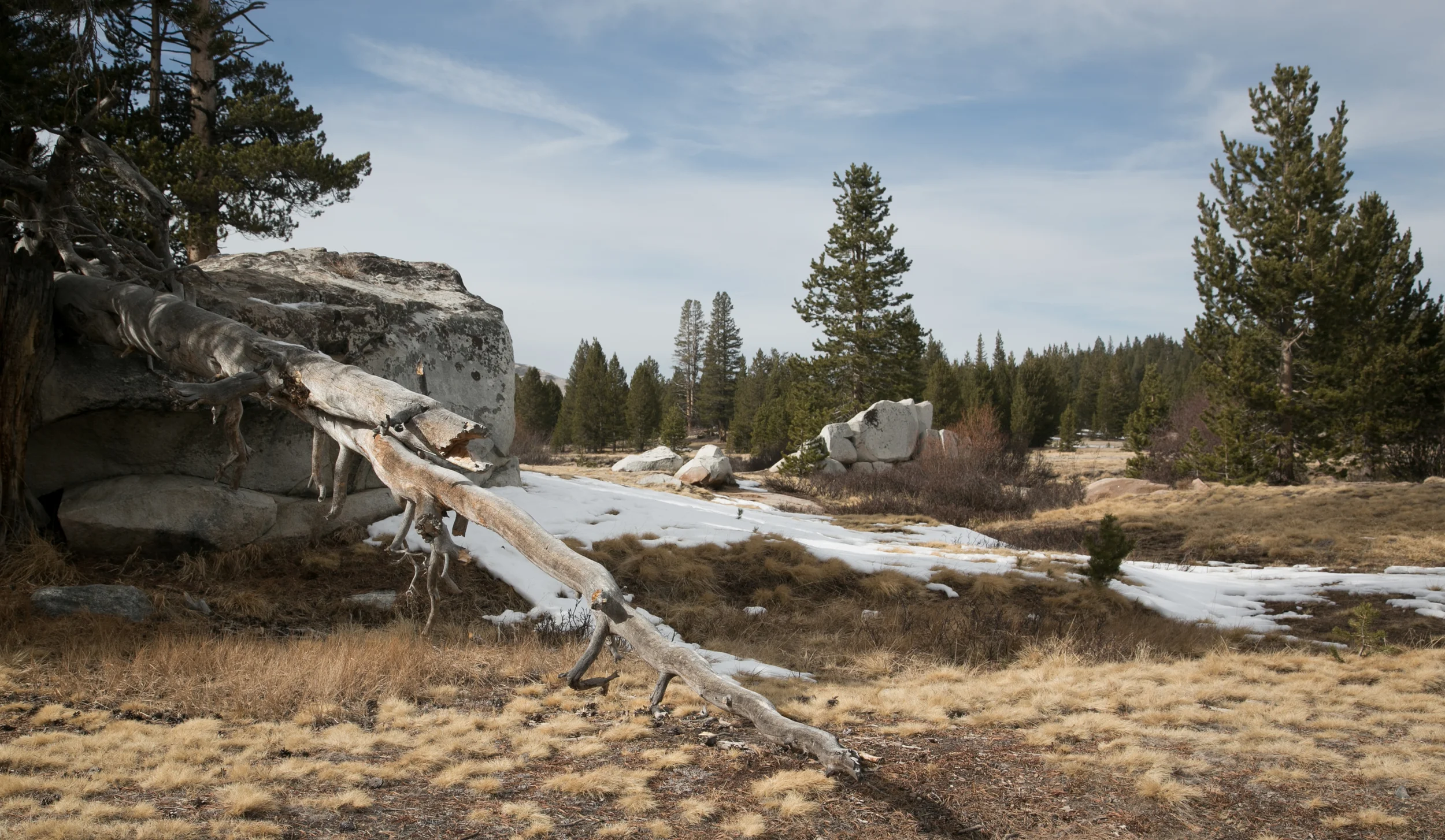 Tuolumne Meadows, Sierra Nevada. California.
