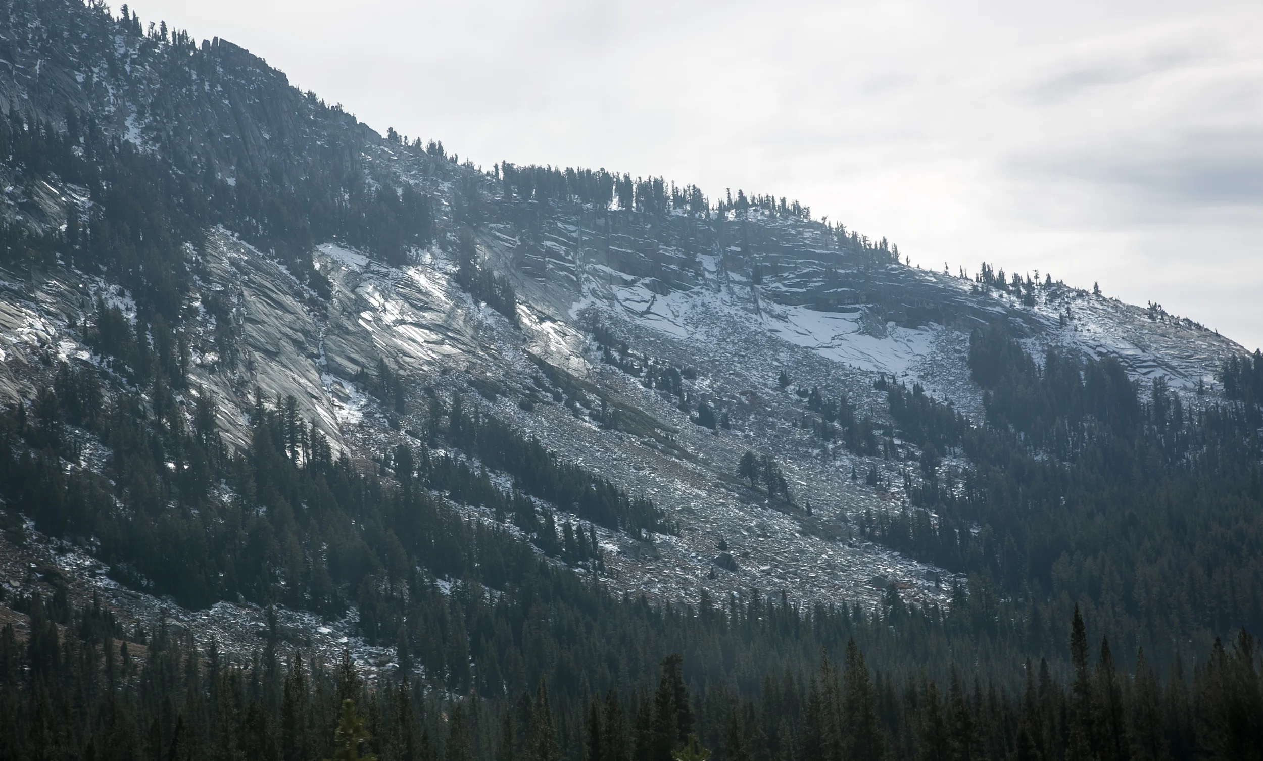 Tuolumne Meadows, Sierra Nevada. California.
