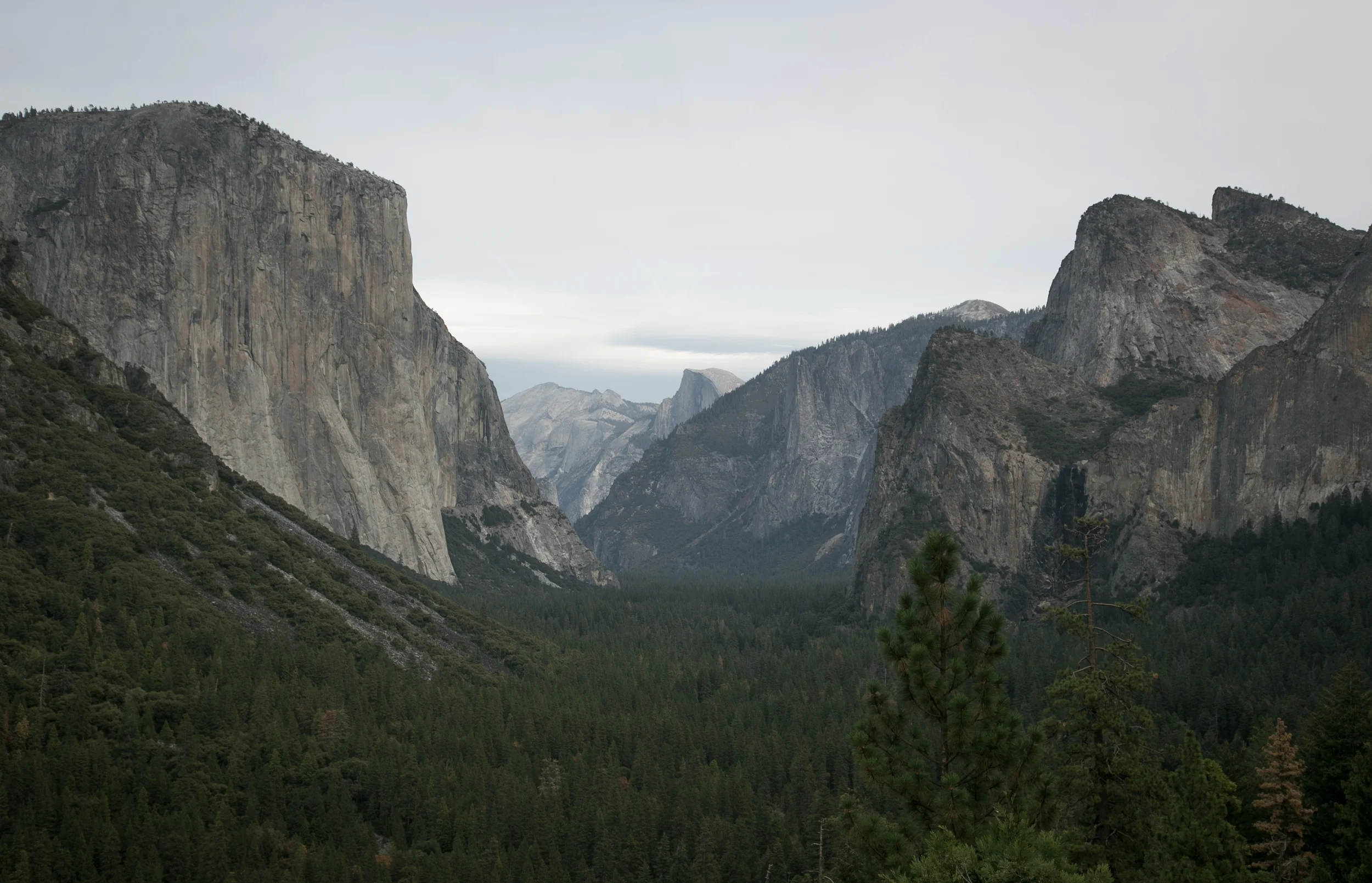 Yosemite Valley, Yosemite National Park. California.