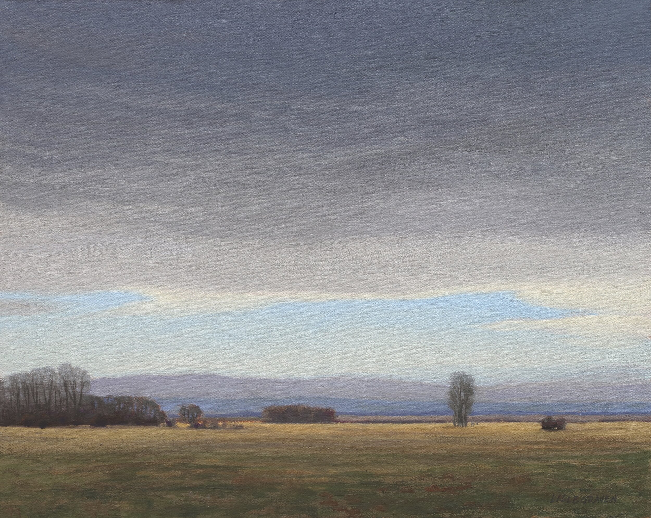 April Pastures (2020) Oil on linen on panel 16" x 20" $2900