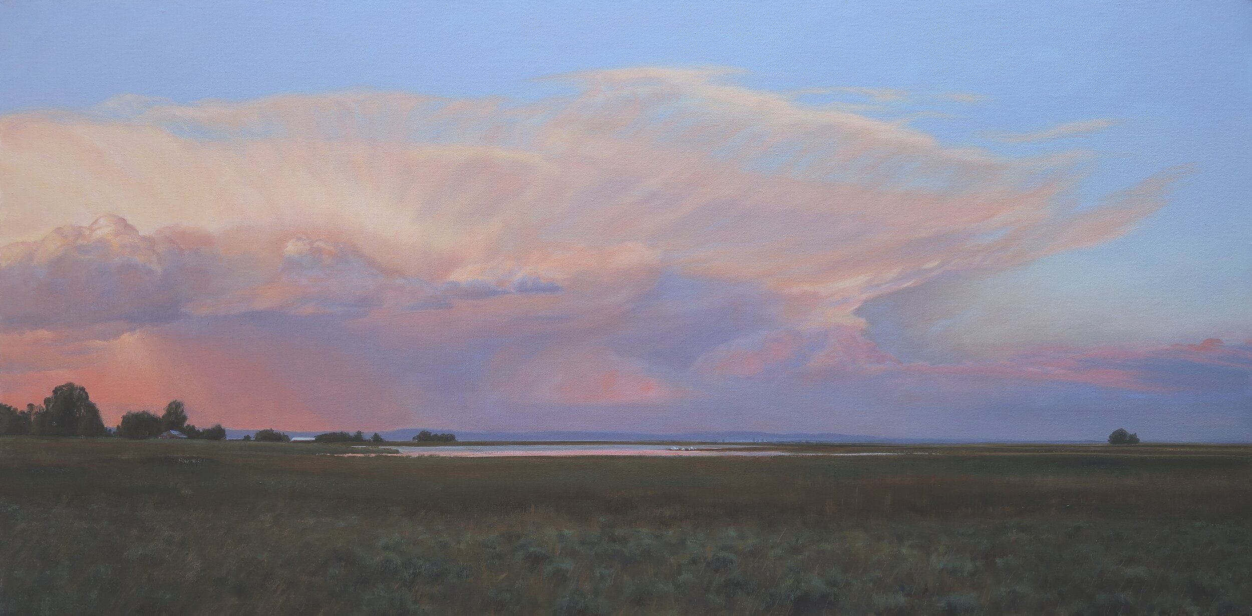 Cumulonimbus (2020) Oil on linen 24" x 48"