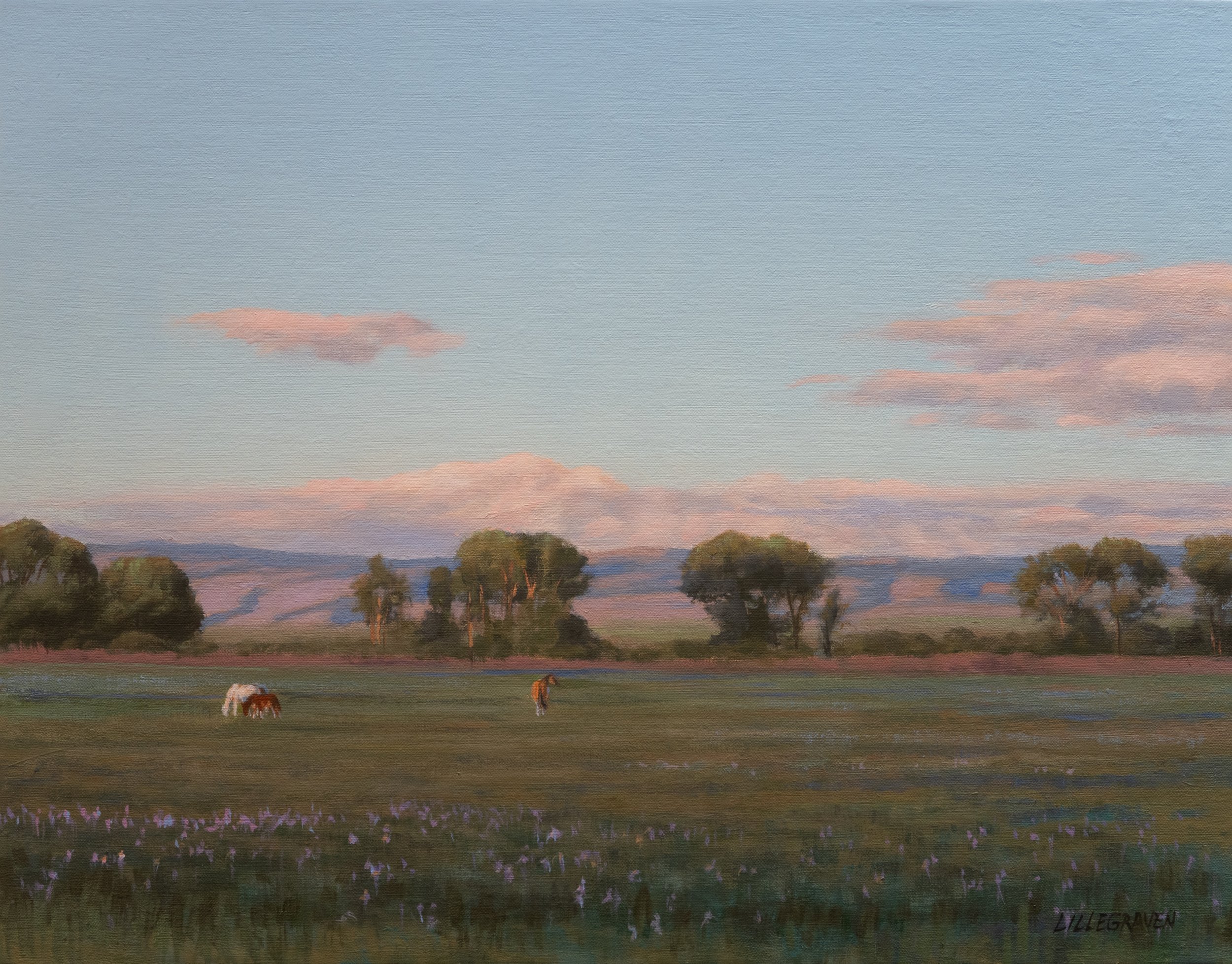 Pasture with Wild Irises (2025) Oil on linen on panel 14" x 18" price $2500