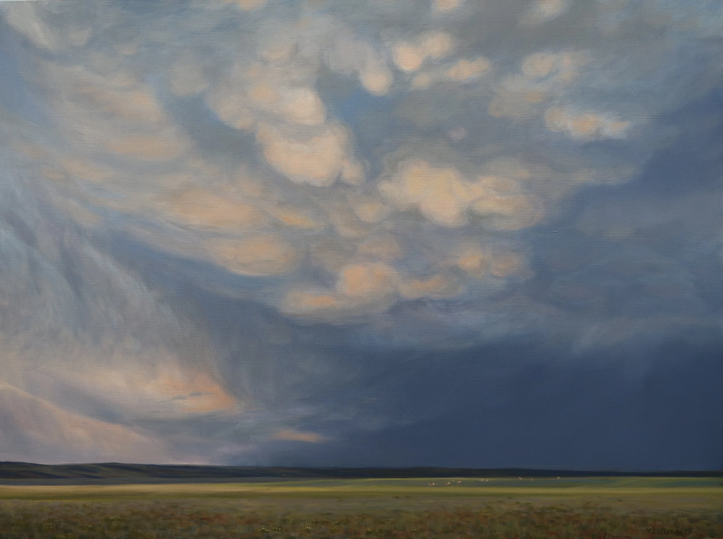 Storm Warning (2026)