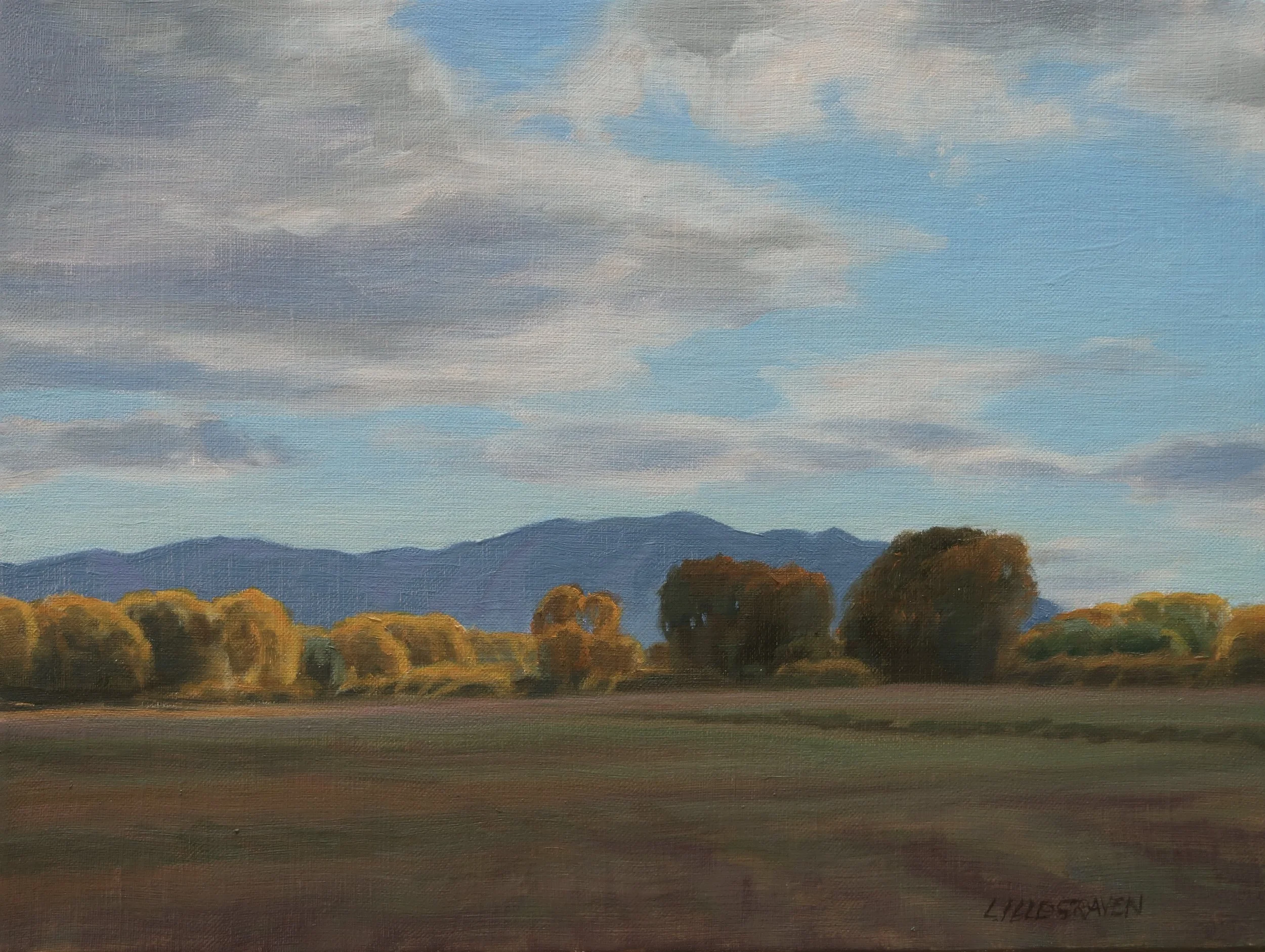 Autumn Hay Meadow (2026)