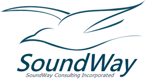 soundway consulting.png