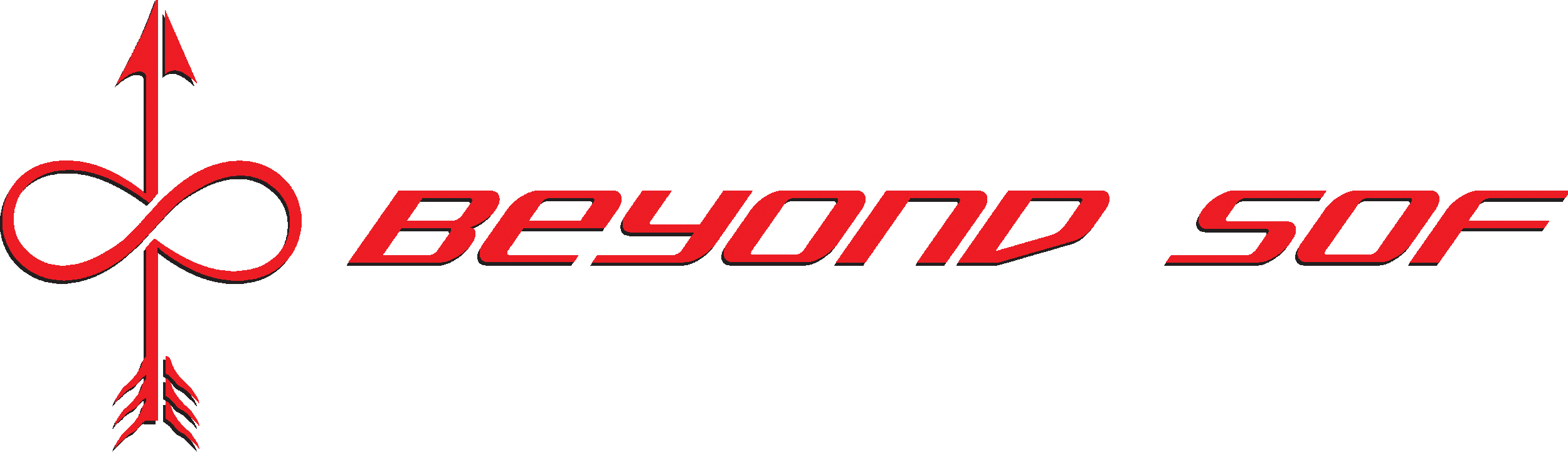 BeyondSOF-Logo.gif